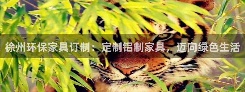 杏耀3代理