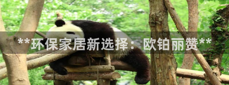 杏耀平台没有了