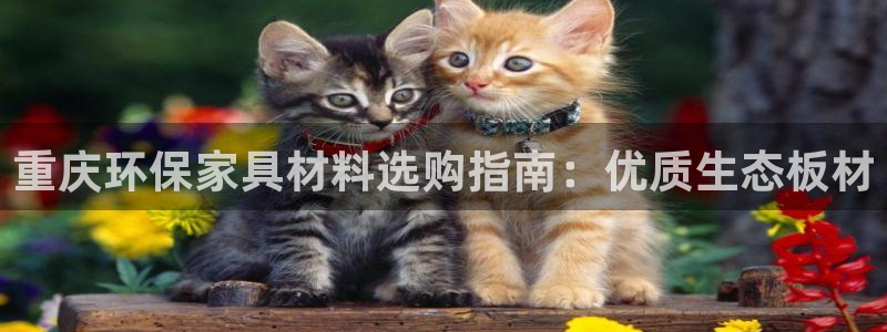 杏耀平台还在吗