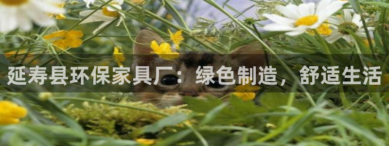 杏耀代理官网