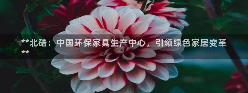 杏耀平台官网下载