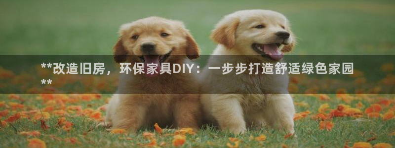 杏耀官网娱乐