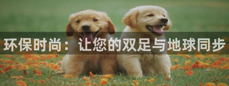 杏耀平台服务中心是干嘛的
