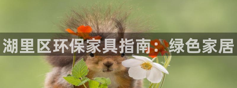 杏耀代理官网