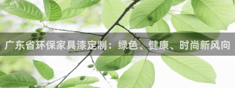 杏耀总代