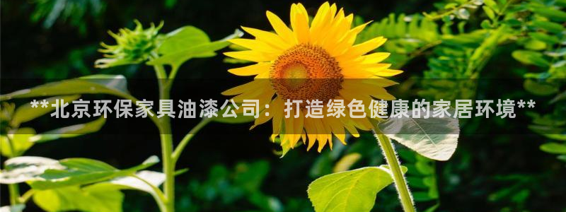 杏耀测速娱乐