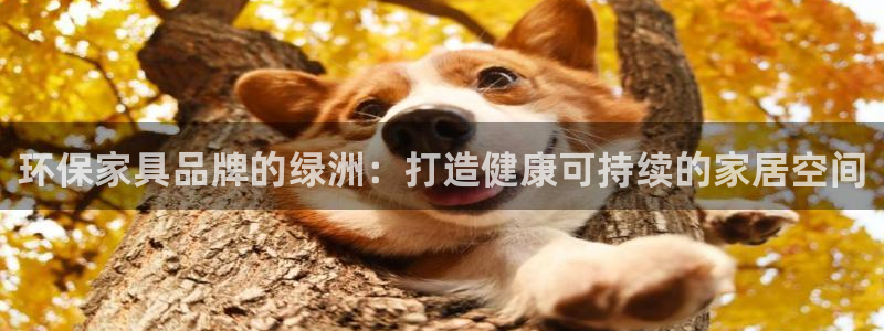 杏耀平台线路
