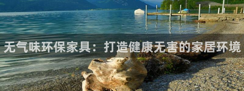 杏耀官网网站中心：无气味环保家具：打造健康无害的家居环境