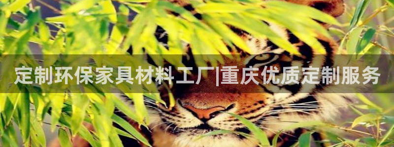 杏耀平台登陆官网