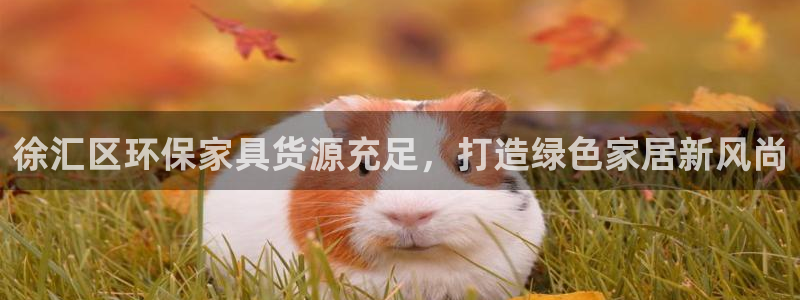 杏耀测速登录地址：徐汇区环保家具货源充足，打造绿色家居新风尚