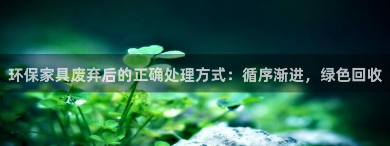 杏耀客户端登陆：环保家具废弃后的正确处理方式：循序渐进，绿色