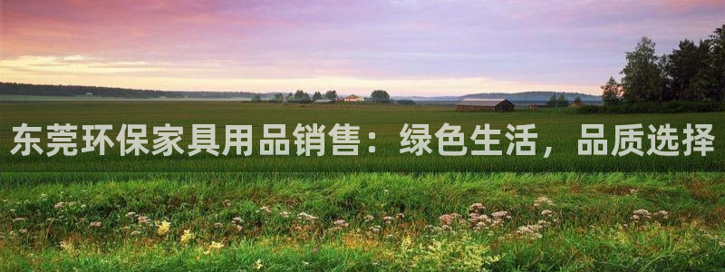 杏耀平台已7O777：东莞环保家具用品销售：绿色生活，品质选