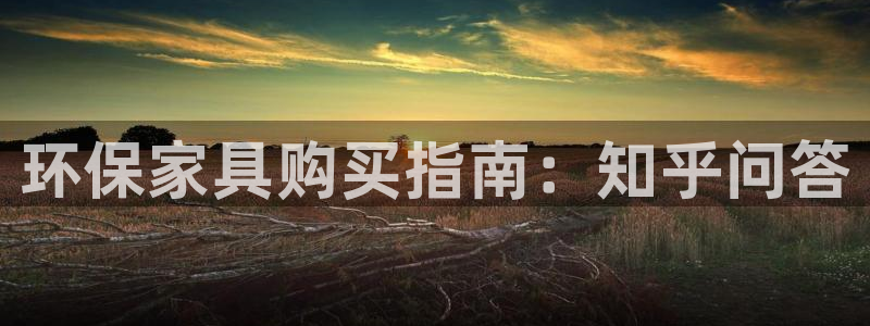 杏耀平台指定