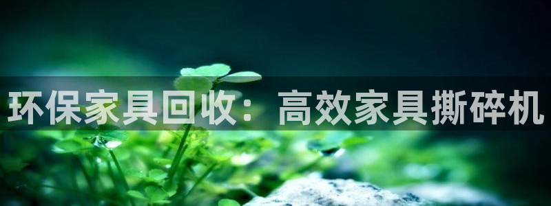 杏耀注册登录测速：环保家具回收：高效家具撕碎机