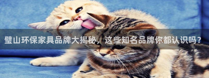 杏耀注册代理：璧山环保家具品牌大揭秘，这些知名品牌你都认识吗