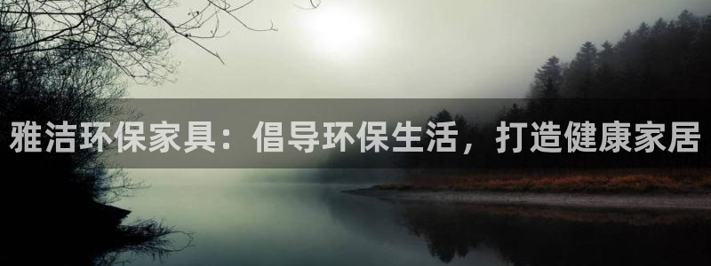 杏耀平台娱乐：雅洁环保家具：倡导环保生活，打造健康家居
