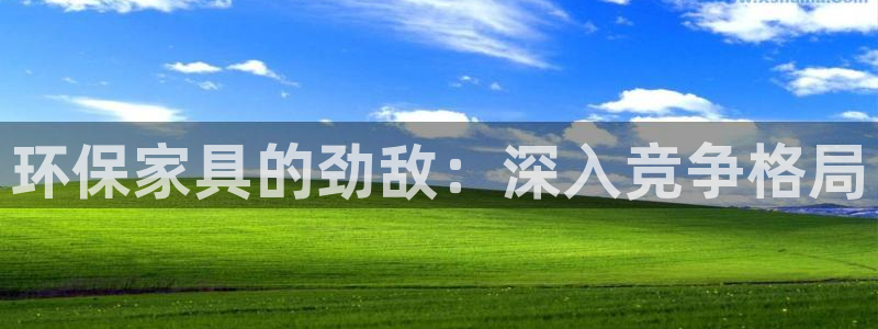 杏耀平台怎么注册：环保家具的劲敌：深入竞争格局