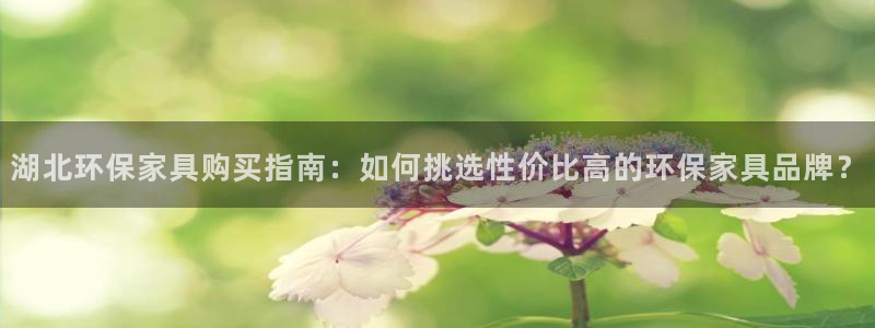 杏耀注册登录：湖北环保家具购买指南：如何挑选性价比高的环保家