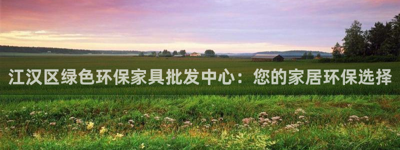 杏耀平台注册入口：江汉区绿色环保家具批发中心：您的家居环保选