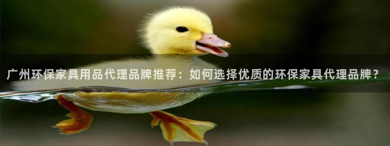 杏耀平台客户端：广州环保家具用品代理品牌推荐：如何选择优质的
