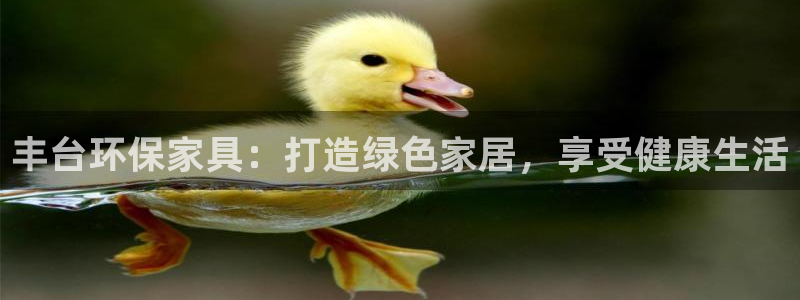 杏耀登入官网：丰台环保家具：打造绿色家居，享受健康生活