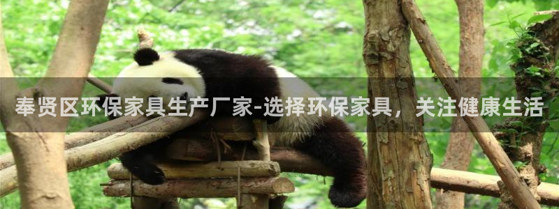 杏耀官网网站