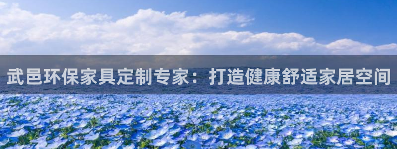 杏耀官方测速：武邑环保家具定制专家：打造健康舒适家居空间