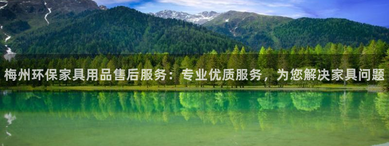 杏耀注册登录：梅州环保家具用品售后服务：专业优质服务，为您解