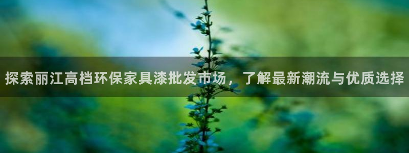 杏耀app怎样申请：探索丽江高档环保家具漆批发市场，了解最新
