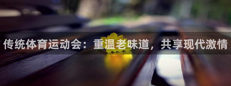 球速体育：传统体育运动会：重温老味道，共享现代激情
