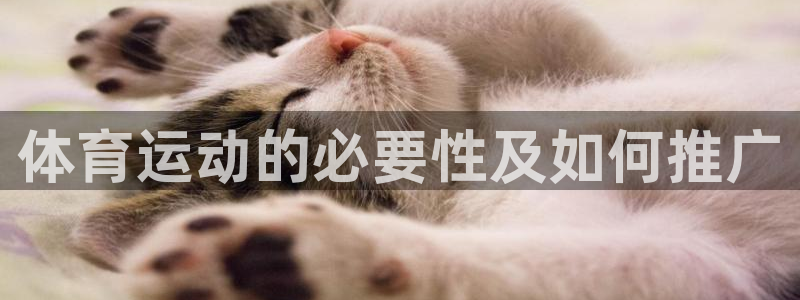 球速体育：体育运动的必要性及如何推广